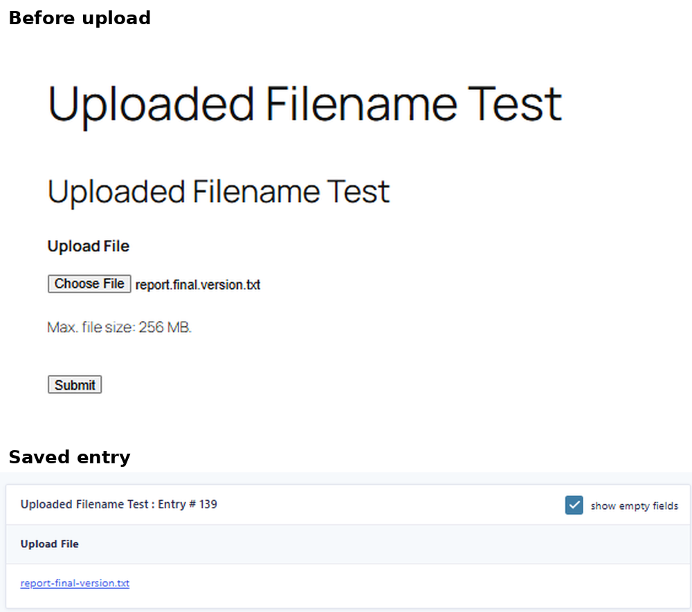Gravity Forms upload test showing report.final.version.txt changed to report-final-version.txt with a strict filename filter