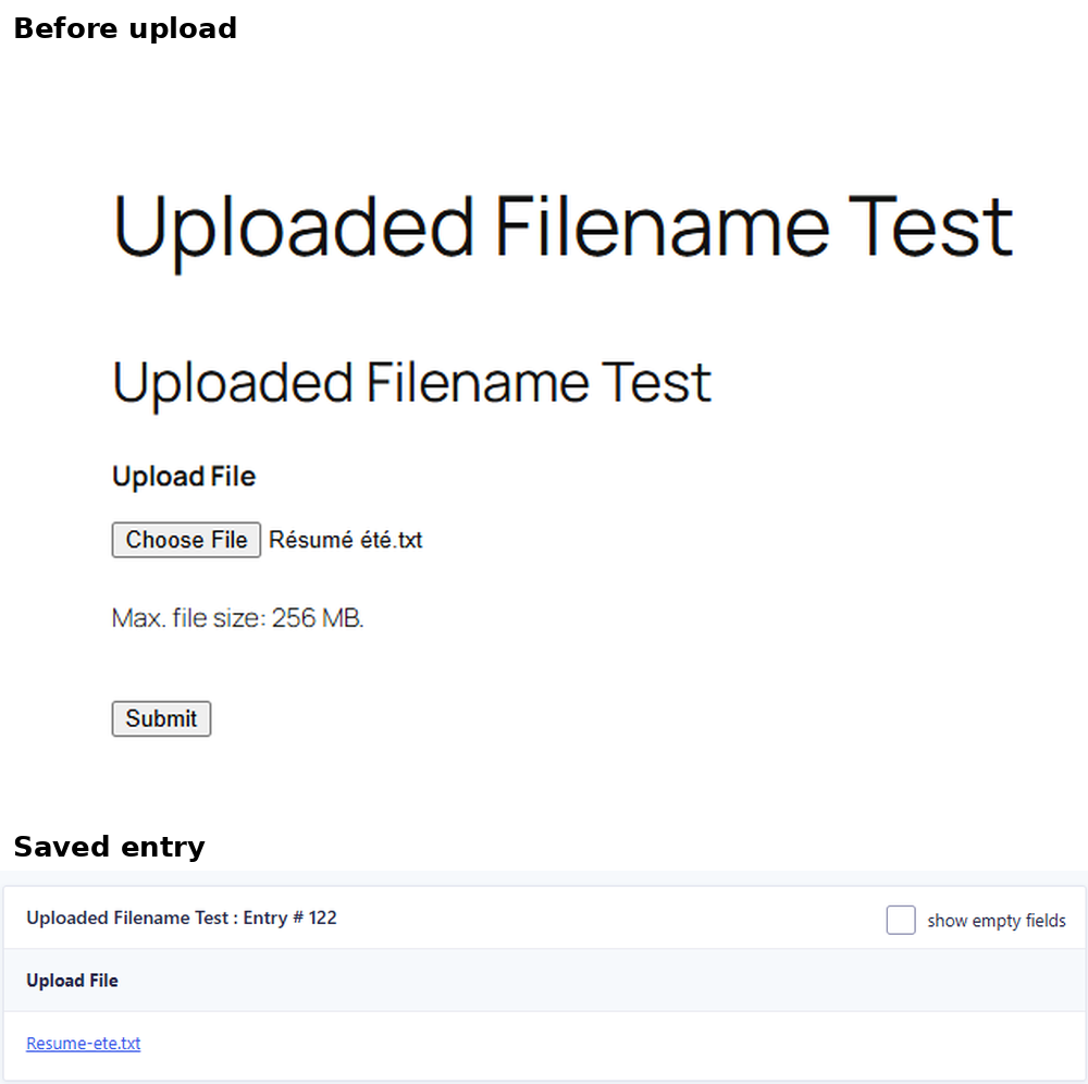 Gravity Forms upload test showing Résumé été.txt saved as Resume-ete.txt by WordPress filename sanitization