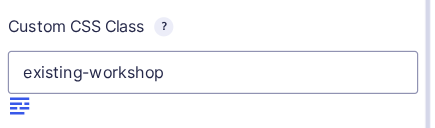 CSS Selector button beneath a saved Custom CSS Class value